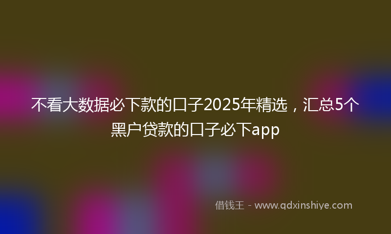 不看大数据必下款的口子2025年精选，汇总5个黑户贷款的口子必下app