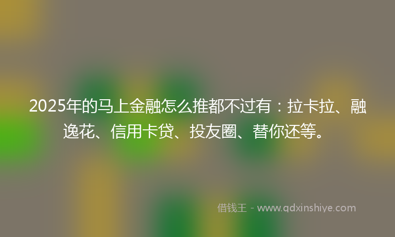 2025年的马上金融怎么推都不过有：拉卡拉、融逸花、信用卡贷、投友圈、替你还等。