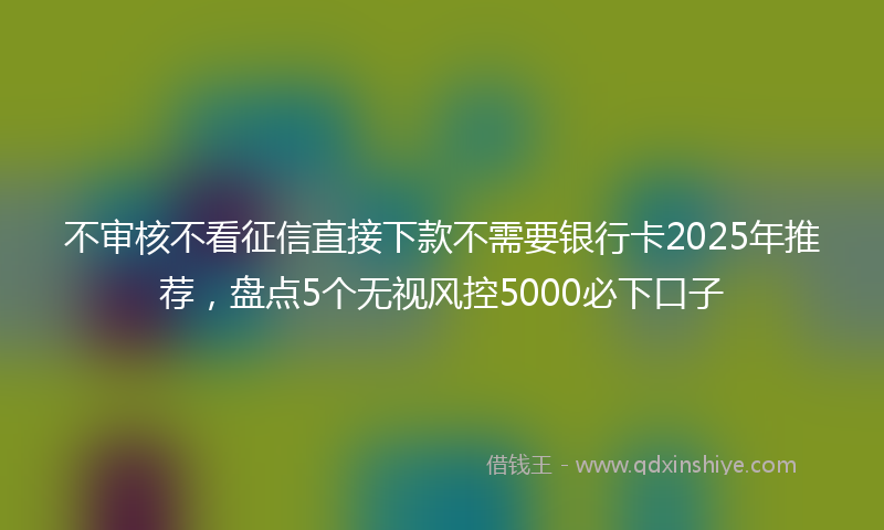 不审核不看征信直接下款不需要银行卡2025年推荐，盘点5个无视风控5000必下口子