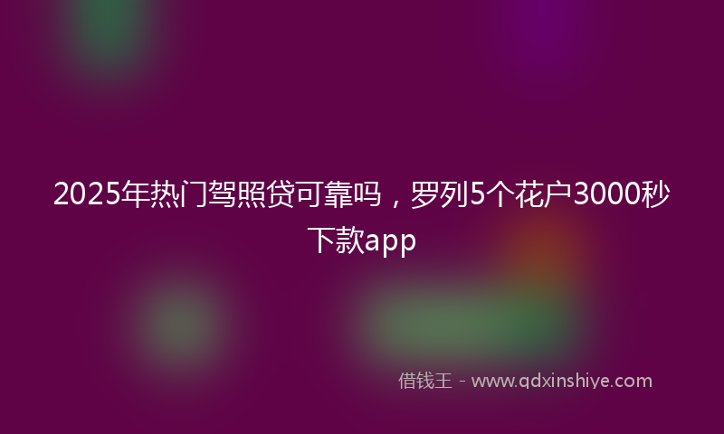 2025年热门驾照贷可靠吗，罗列5个花户3000秒下款app
