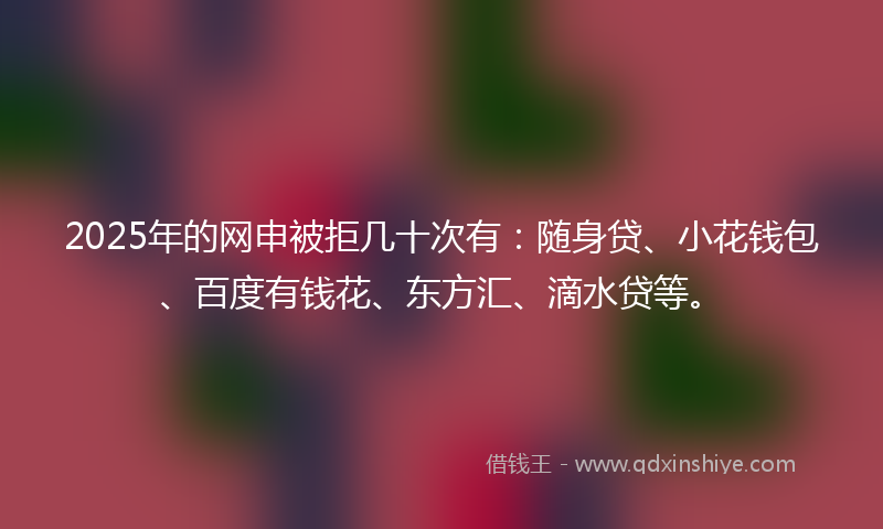 2025年的网申被拒几十次有：随身贷、小花钱包、百度有钱花、东方汇、滴水贷等。
