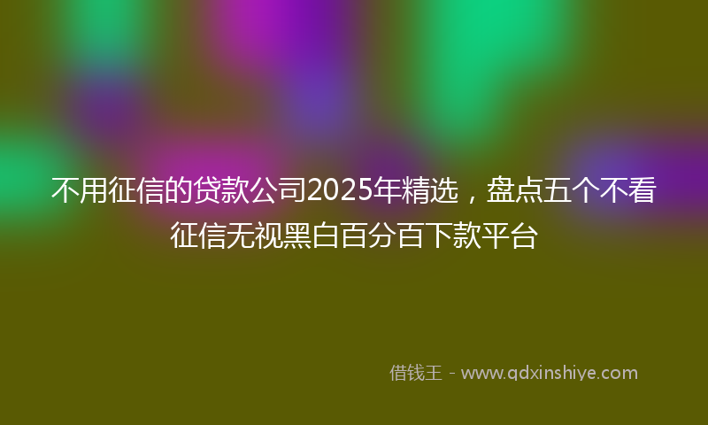 不用征信的贷款公司2025年精选，盘点五个不看征信无视黑白百分百下款平台