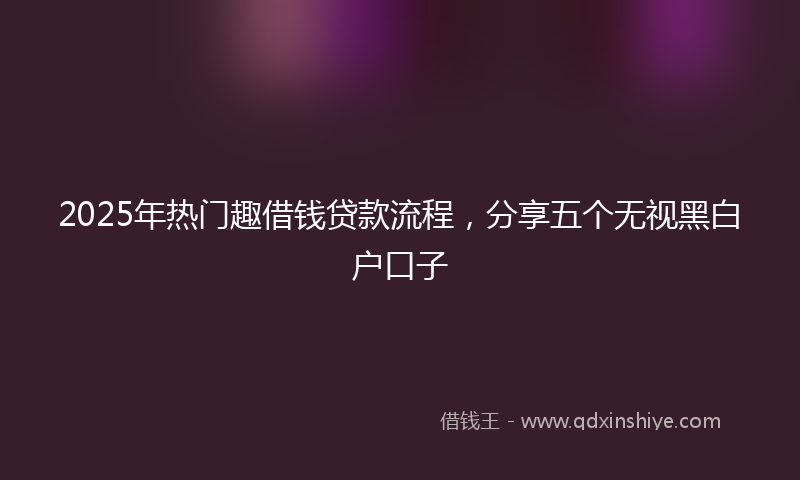 2025年热门趣借钱贷款流程，分享五个无视黑白户口子