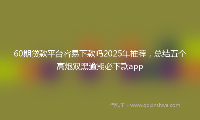 60期贷款平台容易下款吗2025年推荐，总结五个高炮双黑逾期必下款app