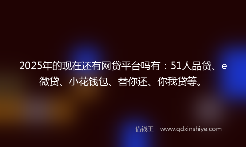 2025年的现在还有网贷平台吗有：51人品贷、e微贷、小花钱包、替你还、你我贷等。