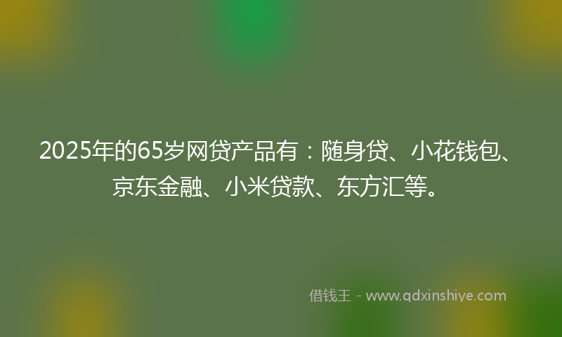 2025年的65岁网贷产品有：随身贷、小花钱包、京东金融、小米贷款、东方汇等。
