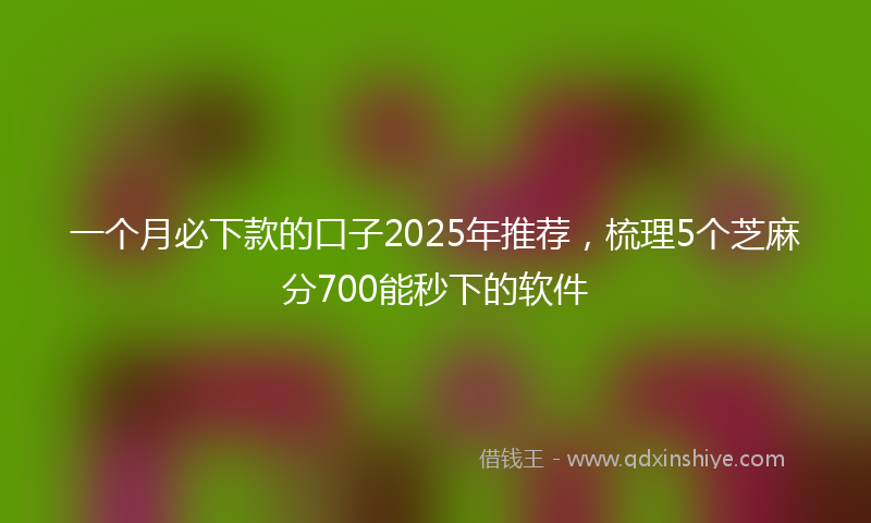 一个月必下款的口子2025年推荐，梳理5个芝麻分700能秒下的软件