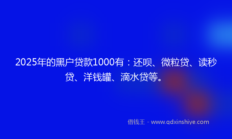 2025年的黑户贷款1000有：还呗、微粒贷、读秒贷、洋钱罐、滴水贷等。