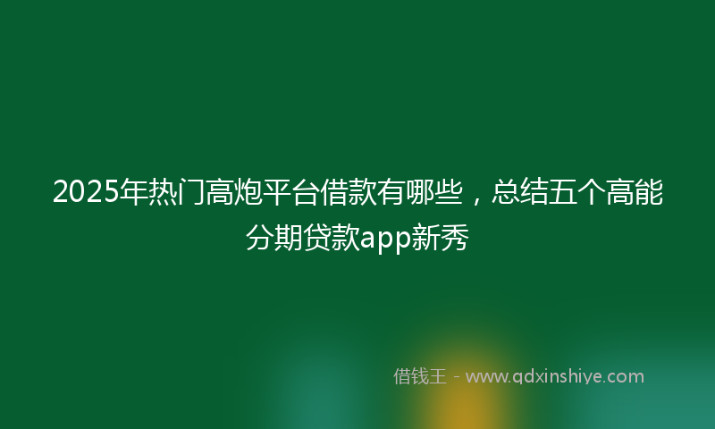 2025年热门高炮平台借款有哪些，总结五个高能分期贷款app新秀