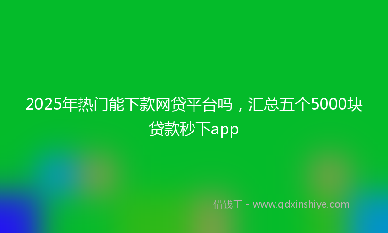 2025年热门能下款网贷平台吗，汇总五个5000块贷款秒下app