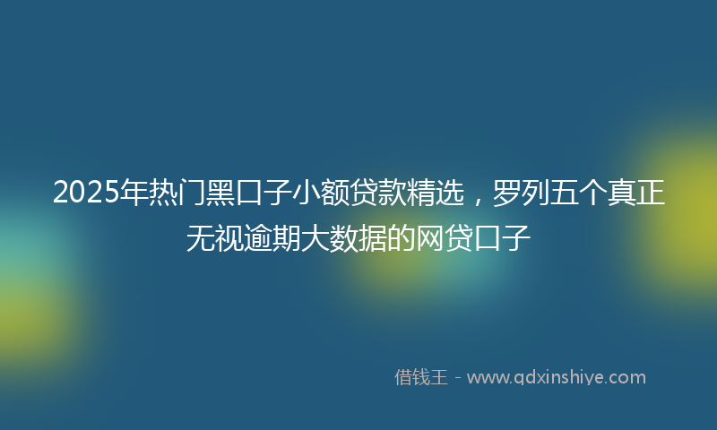 2025年热门黑口子小额贷款精选，罗列五个真正无视逾期大数据的网贷口子