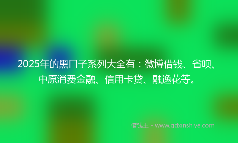 2025年的黑口子系列大全有：微博借钱、省呗、中原消费金融、信用卡贷、融逸花等。