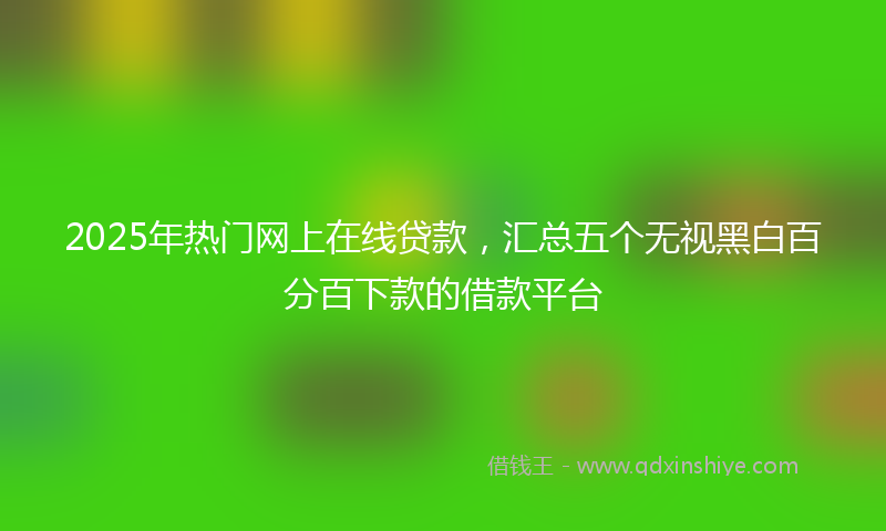 2025年热门网上在线贷款，汇总五个无视黑白百分百下款的借款平台
