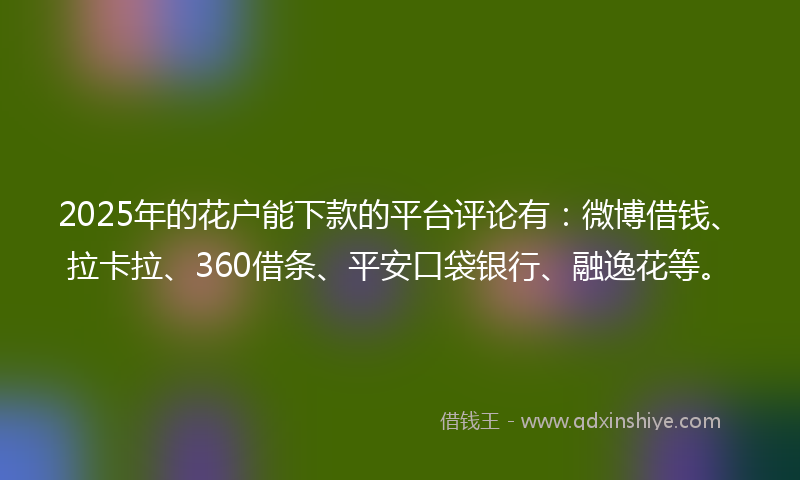 2025年的花户能下款的平台评论有：微博借钱、拉卡拉、360借条、平安口袋银行、融逸花等。