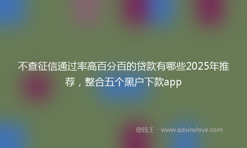 不查征信通过率高百分百的贷款有哪些2025年推荐，整合五个黑户下款app