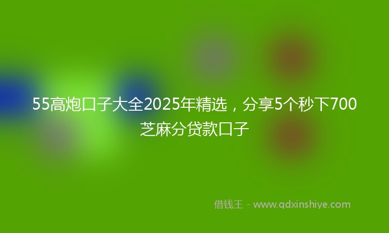 55高炮口子大全2025年精选，分享5个秒下700芝麻分贷款口子