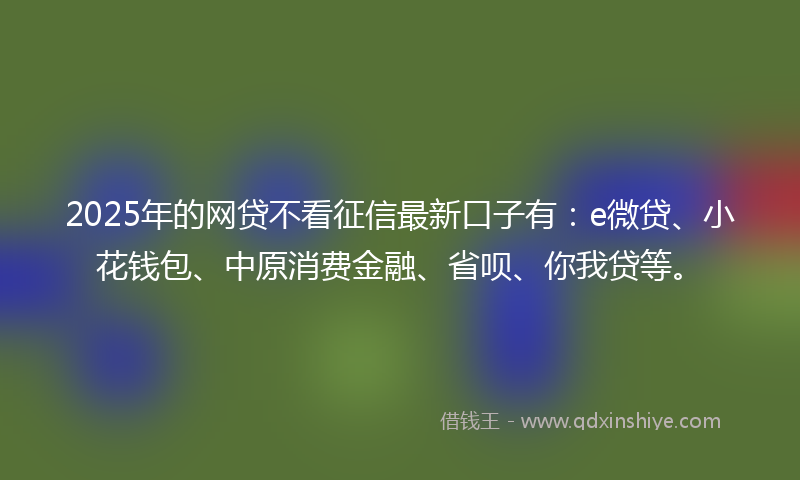 2025年的网贷不看征信最新口子有：e微贷、小花钱包、中原消费金融、省呗、你我贷等。