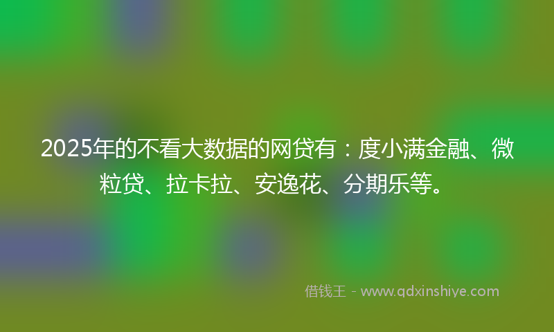 2025年的不看大数据的网贷有：度小满金融、微粒贷、拉卡拉、安逸花、分期乐等。