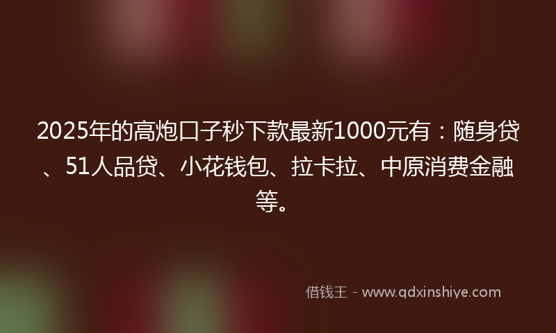 2025年的高炮口子秒下款最新1000元有：随身贷、51人品贷、小花钱包、拉卡拉、中原消费金融等。