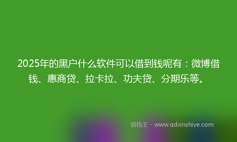 2025年的黑户什么软件可以借到钱呢有：微博借钱、惠商贷、拉卡拉、功夫贷、分期乐等。
