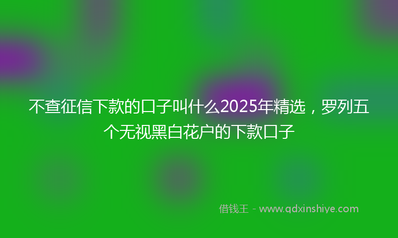 不查征信下款的口子叫什么2025年精选，罗列五个无视黑白花户的下款口子