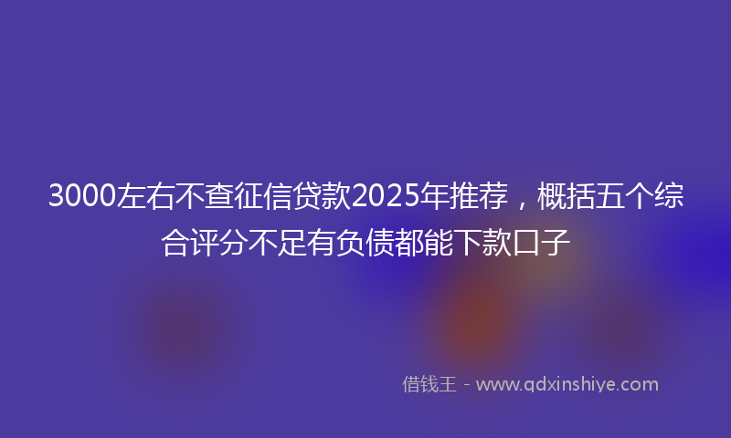 3000左右不查征信贷款2025年推荐，概括五个综合评分不足有负债都能下款口子