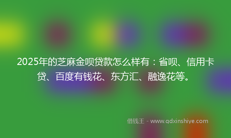 2025年的芝麻金呗贷款怎么样有：省呗、信用卡贷、百度有钱花、东方汇、融逸花等。