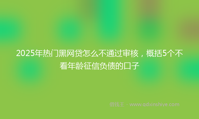 2025年热门黑网贷怎么不通过审核，概括5个不看年龄征信负债的口子