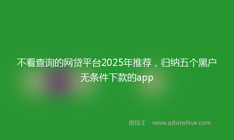 不看查询的网贷平台2025年推荐，归纳五个黑户无条件下款的app