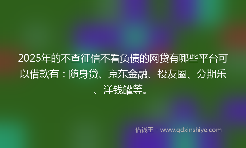 2025年的不查征信不看负债的网贷有哪些平台可以借款有：随身贷、京东金融、投友圈、分期乐、洋钱罐等。