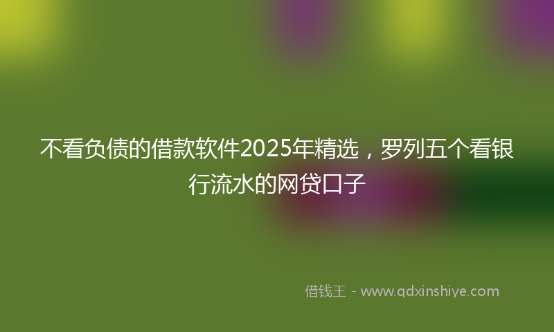 不看负债的借款软件2025年精选,罗列五个看银行流水的网贷口子