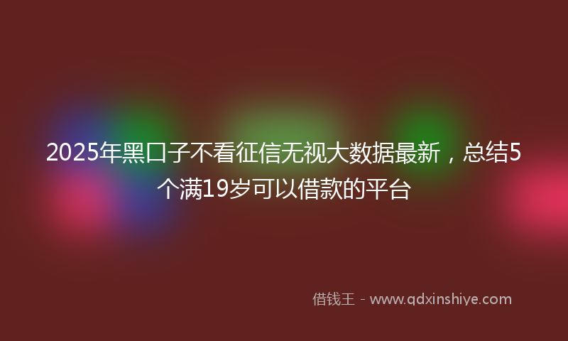 2025年黑口子不看征信无视大数据最新，总结5个满19岁可以借款的平台