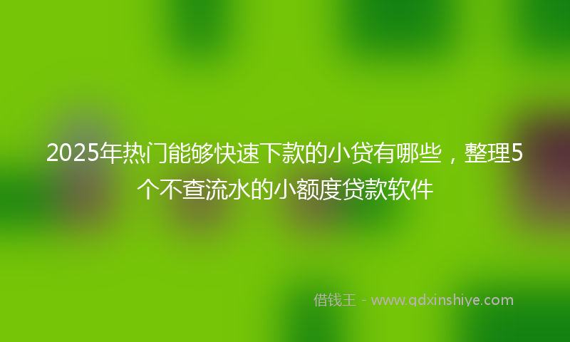 2025年热门能够快速下款的小贷有哪些，整理5个不查流水的小额度贷款软件