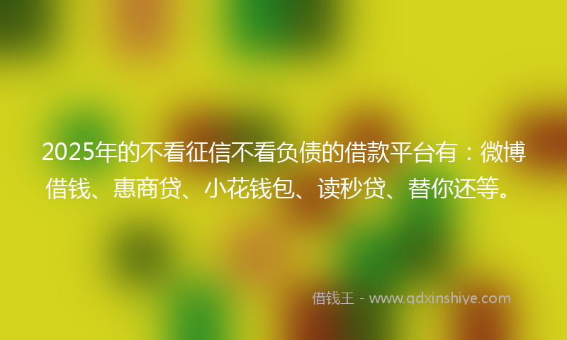 2025年的不看征信不看负债的借款平台有：微博借钱、惠商贷、小花钱包、读秒贷、替你还等。