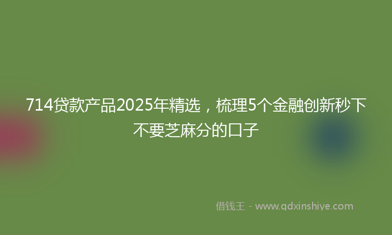 714贷款产品2025年精选,梳理5个金融创新秒下不要芝麻分的口子
