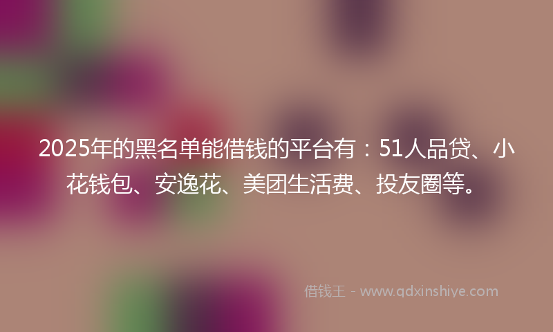 2025年的黑名单能借钱的平台有：51人品贷、小花钱包、安逸花、美团生活费、投友圈等。