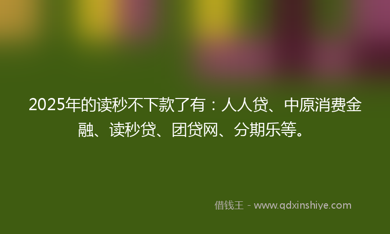 2025年的读秒不下款了有：人人贷、中原消费金融、读秒贷、团贷网、分期乐等。