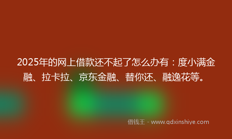 2025年的网上借款还不起了怎么办有：度小满金融、拉卡拉、京东金融、替你还、融逸花等。