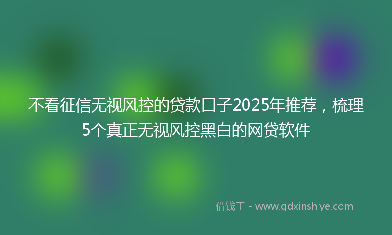 不看征信无视风控的贷款口子2025年推荐，梳理5个真正无视风控黑白的网贷软件