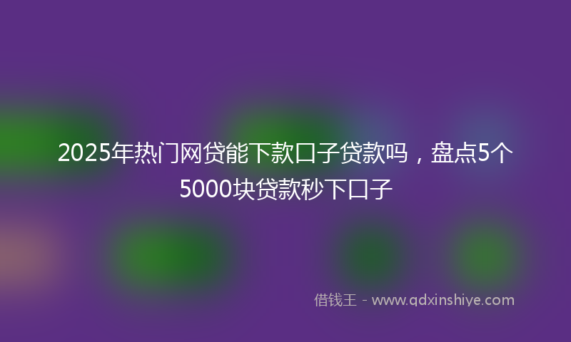 2025年热门网贷能下款口子贷款吗，盘点5个5000块贷款秒下口子