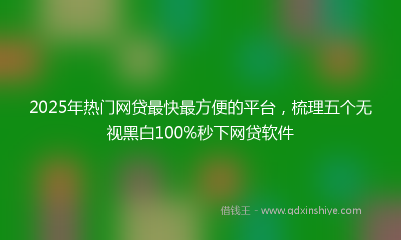 2025年热门网贷最快最方便的平台，梳理五个无视黑白100%秒下网贷软件