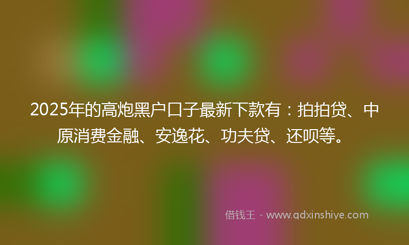 2025年的高炮黑户口子最新下款有：拍拍贷、中原消费金融、安逸花、功夫贷、还呗等。