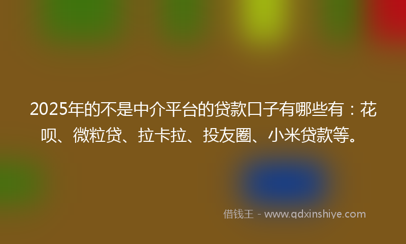 2025年的不是中介平台的贷款口子有哪些有：花呗、微粒贷、拉卡拉、投友圈、小米贷款等。