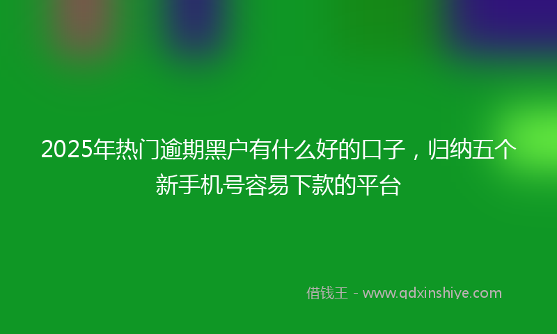2025年热门逾期黑户有什么好的口子，归纳五个新手机号容易下款的平台