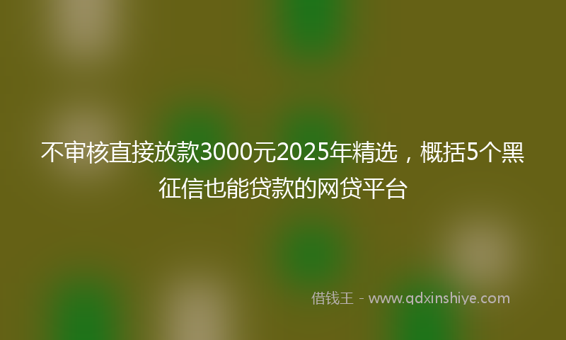 不审核直接放款3000元2025年精选，概括5个黑征信也能贷款的网贷平台