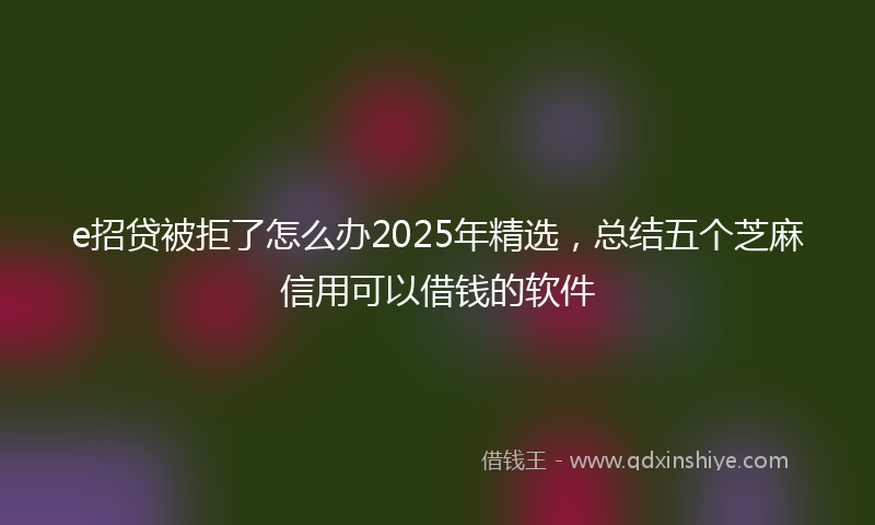 e招贷被拒了怎么办2025年精选，总结五个芝麻信用可以借钱的软件