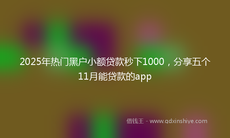 2025年热门黑户小额贷款秒下1000,分享五个11月能贷款的app