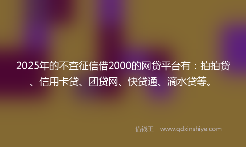 2025年的不查征信借2000的网贷平台有：拍拍贷、信用卡贷、团贷网、快贷通、滴水贷等。