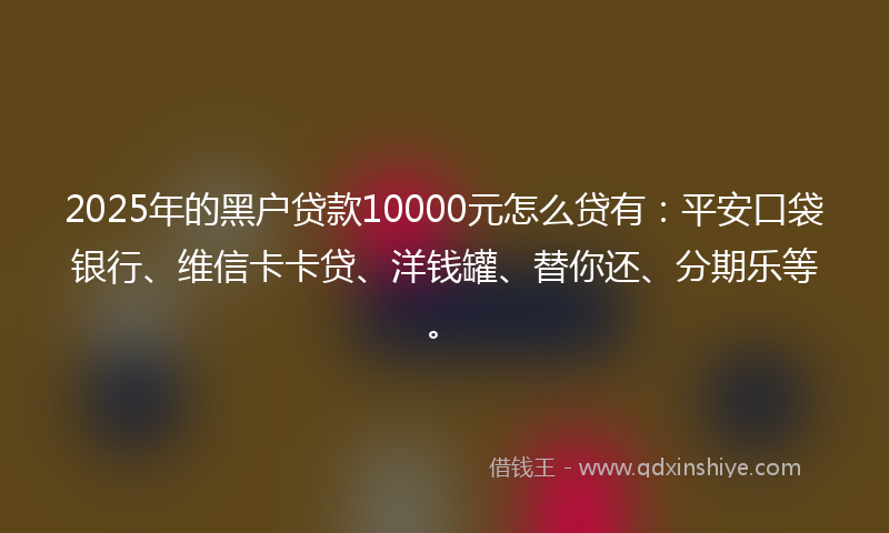 2025年的黑户贷款10000元怎么贷有：平安口袋银行、维信卡卡贷、洋钱罐、替你还、分期乐等。