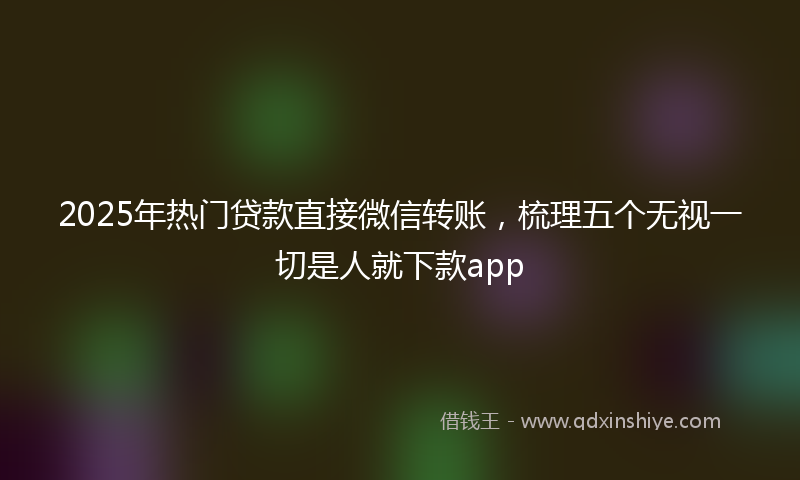 2025年热门贷款直接微信转账，梳理五个无视一切是人就下款app